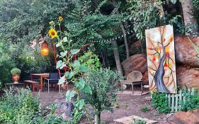 Un Pied Dans La Foret